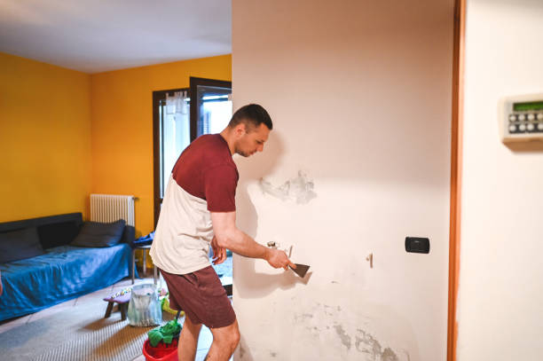 Best Industrial Mold Remediation in Sage, CA